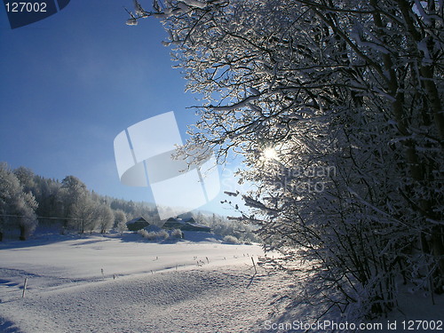 Image of winter farm