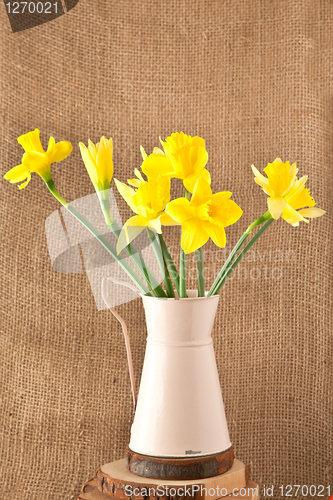 Image of daffodils