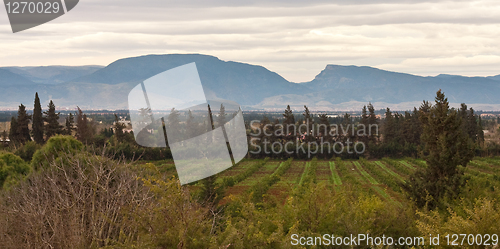 Image of moroccan landscape