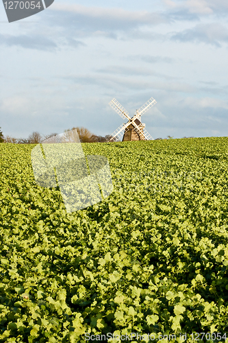 Image of Windmill