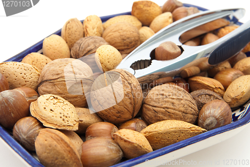 Image of nuts