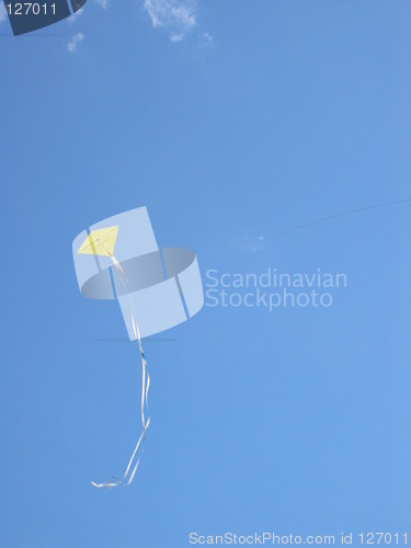 Image of Kite in summer