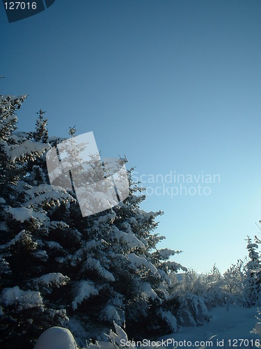 Image of Winter in Leknes