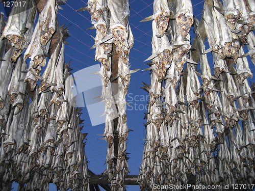 Image of Drying fish