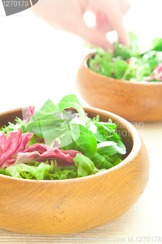 Image of Salad