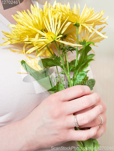 Image of chrysanthemum