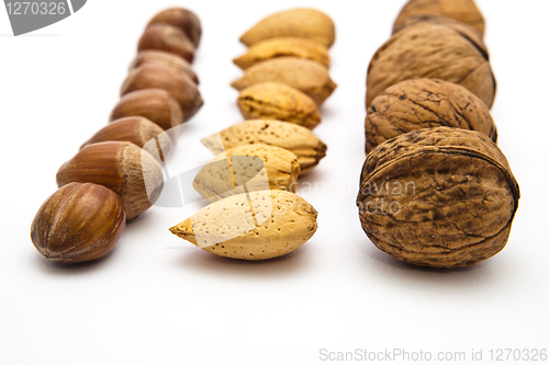 Image of nuts