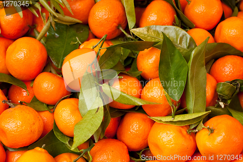 Image of satsumas