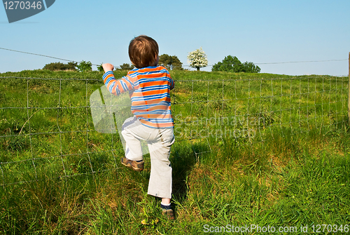 Image of Young boy