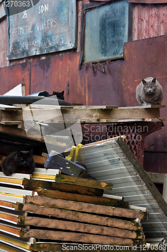 Image of scrapyard