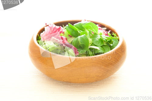 Image of Fresh salad