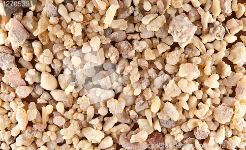 Image of frankincense