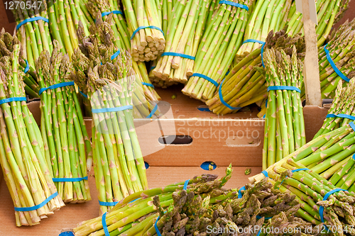 Image of asparagus