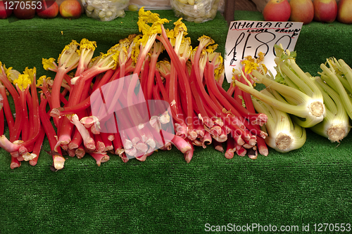 Image of rhubarb