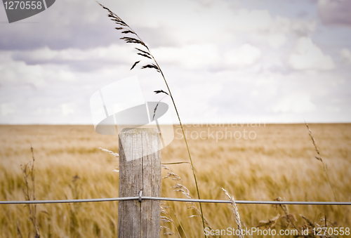 Image of Fence post
