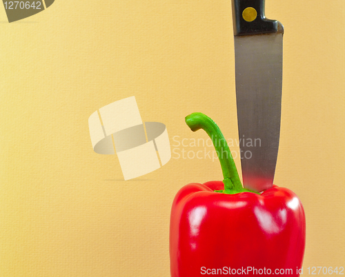 Image of Bell pepper