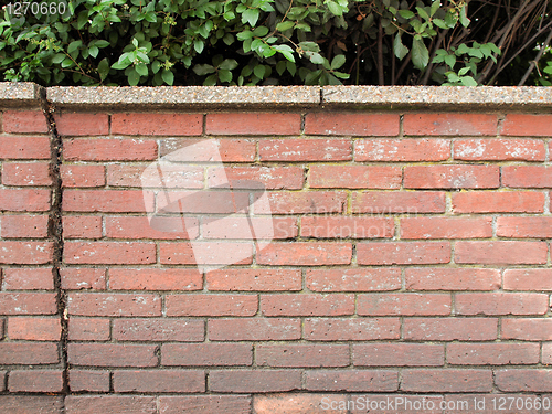Image of Wall background