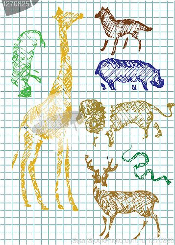 Image of hand drawn zoo animlas