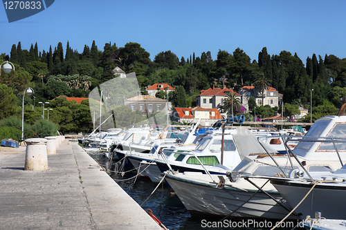 Image of Boats at the mooring