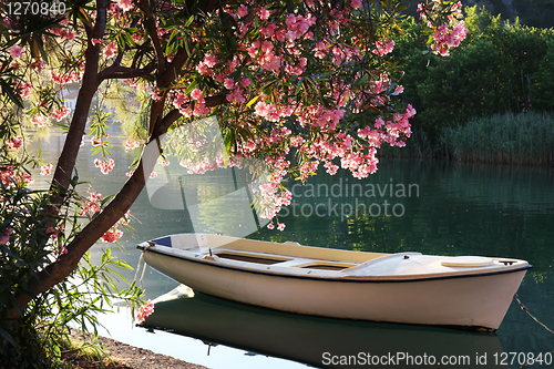 Image of Boat on the river