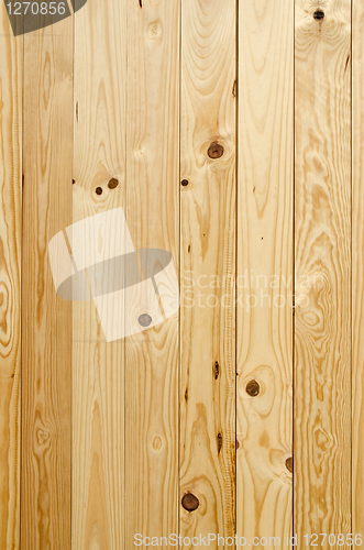 Image of Texture of pine wood