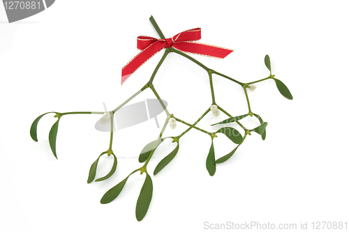 Image of Mistletoe