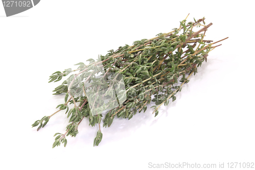 Image of Thyme