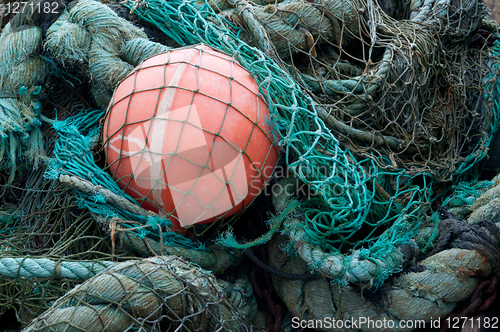 Image of Fish nest