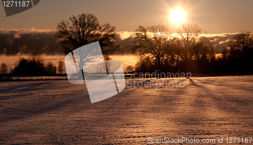 Image of Morning sun in winter time