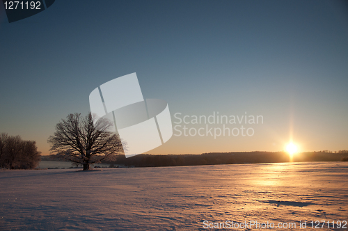 Image of Afternoon winter sun in Norway