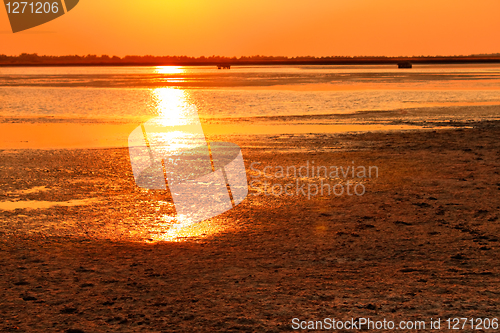 Image of Setting sun flare over the swamp