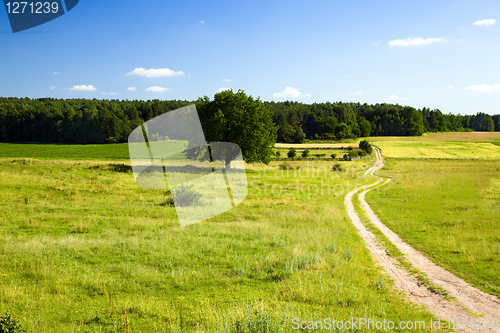 Image of Road leaving in the field