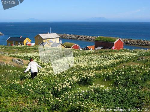 Image of Norwegian coast