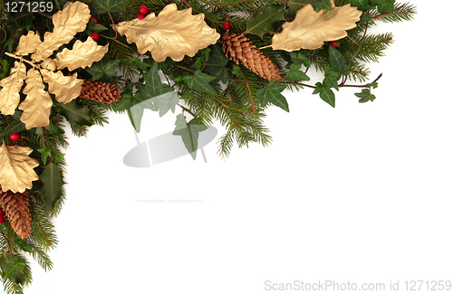 Image of Winter Flora and Fauna Border