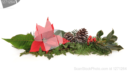 Image of Poinsettia and Winter Fauna