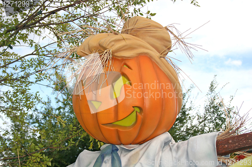Image of Pumpkin