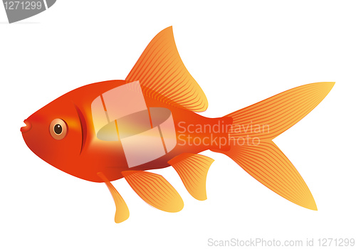 Image of goldfish illustration
