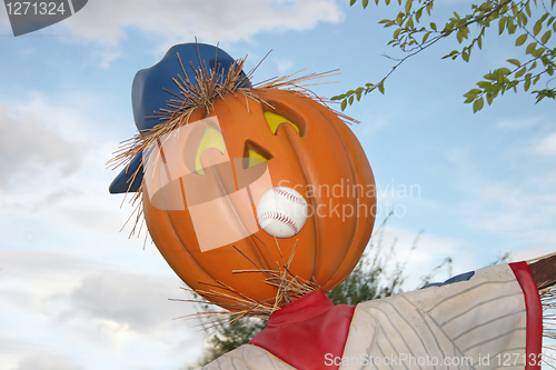 Image of Pumpkin