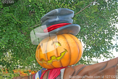Image of Pumpkin