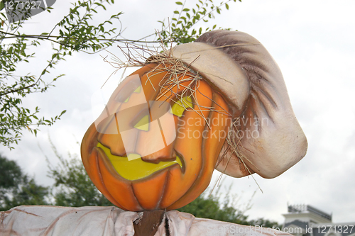 Image of Pumpkin