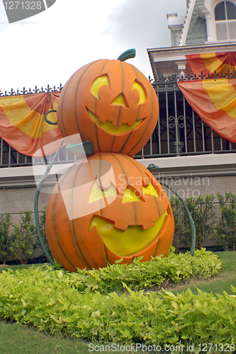 Image of Pumpkins