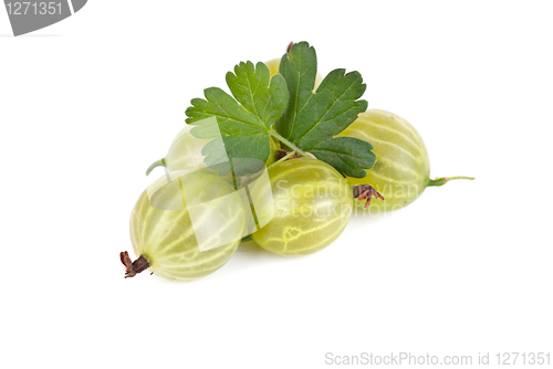 Image of gooseberries