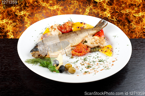 Image of trout fish