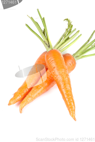 Image of Carrots