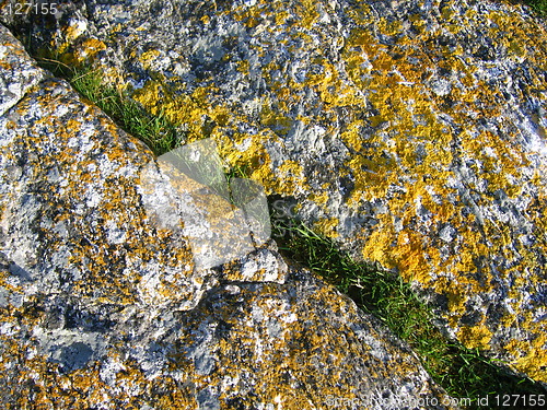 Image of Stripe of green