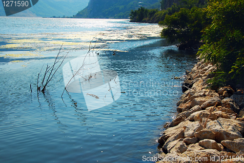 Image of Danube riverbank