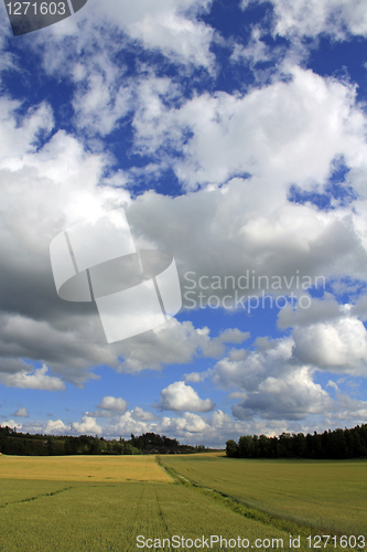 Image of Clouds over Wheat Fields at Summer