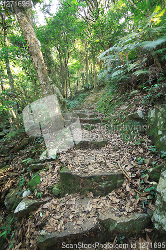 Image of green path 