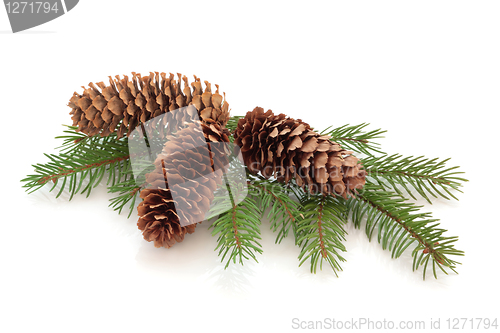 Image of Pine Cone Decoration