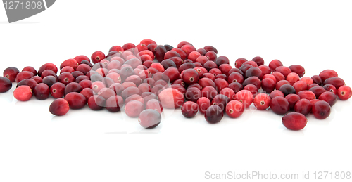 Image of Cranberry Jewels